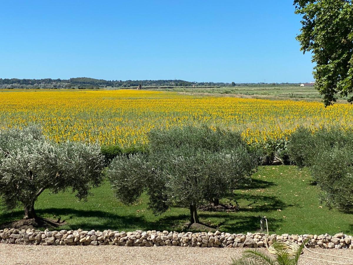 Le Domaine De Laforest Fontvieille Esterno foto