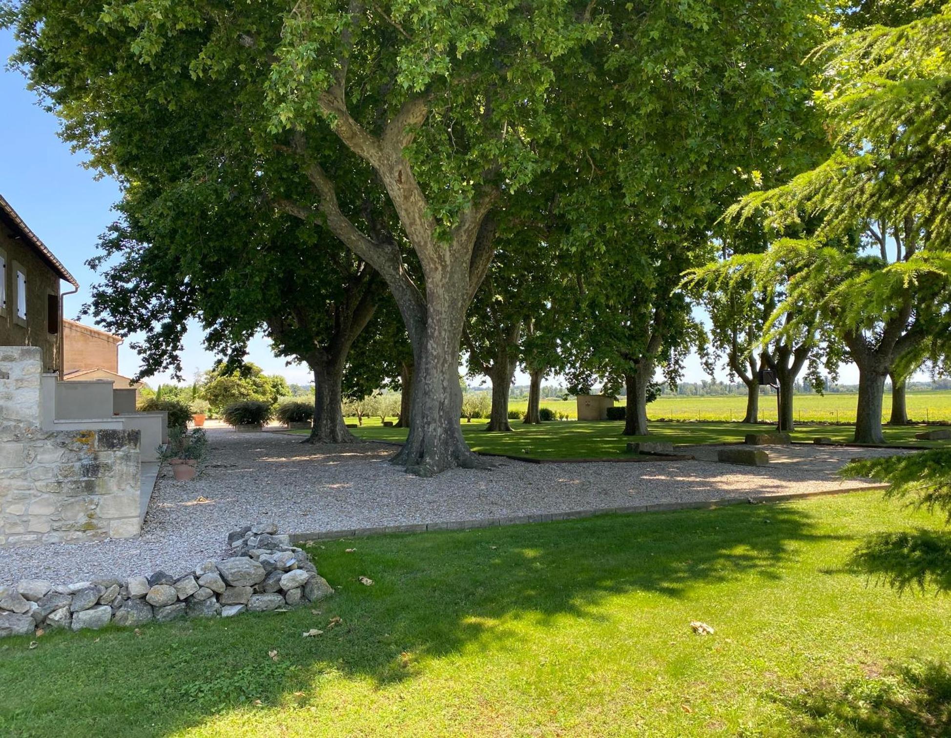 Le Domaine De Laforest Fontvieille Esterno foto