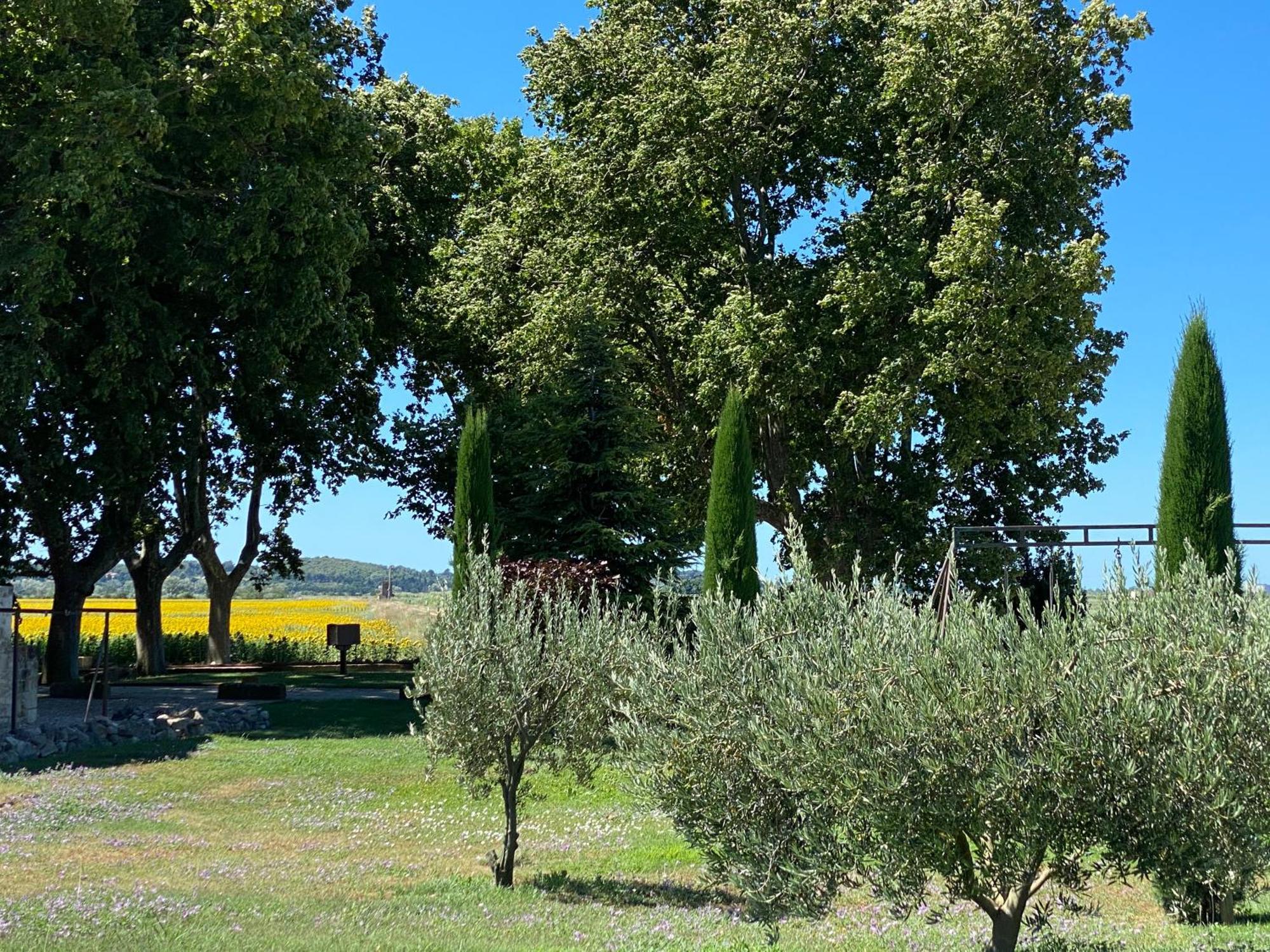 Le Domaine De Laforest Fontvieille Esterno foto