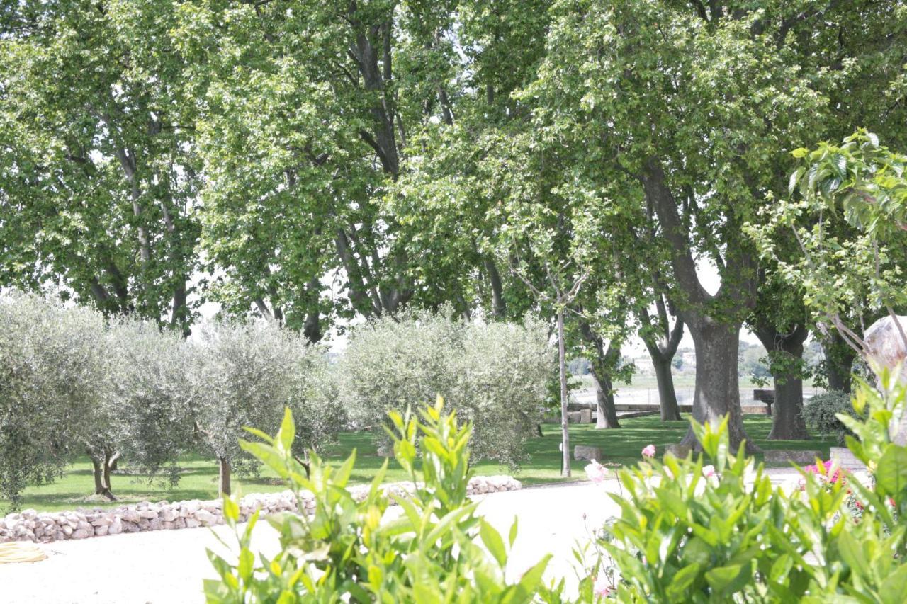 Le Domaine De Laforest Fontvieille Esterno foto