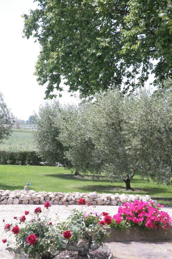 Le Domaine De Laforest Fontvieille Esterno foto